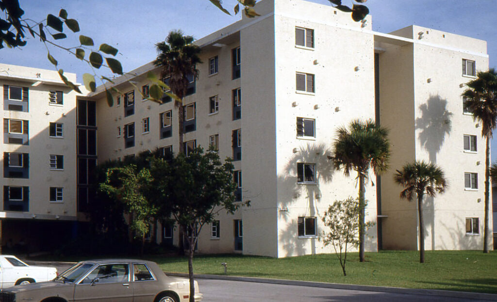 palmimg030_orig